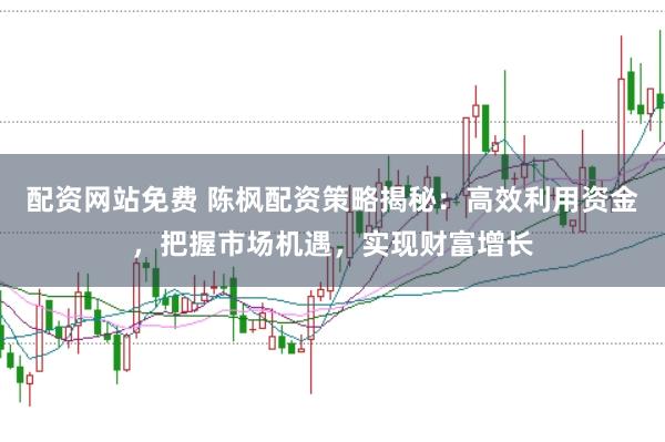 配资网站免费 陈枫配资策略揭秘:高效利用资金,把握市场机遇,实现财富增长