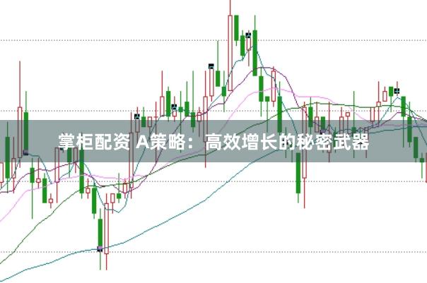 掌柜配资 A策略：高效增长的秘密武器
